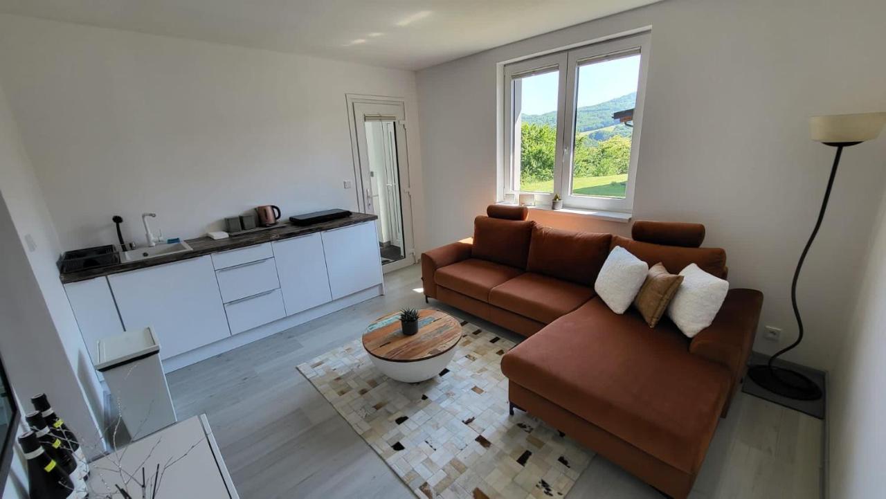 Apartman S Bazenem A Saunou Kadaň Exteriér fotografie